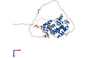 Cyclin A Protein (AA 1-422) (His tag)
