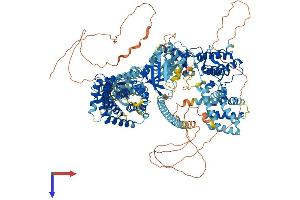 ASK1 Protein (AA 1-1380) (His tag)