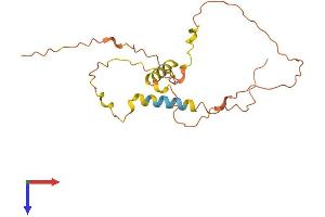 AlphaFold protein structure predicition of Human Recombinant ZNF503-AS2 Protein, UniprotID A6NEH8 (ZNF503-AS2 Protein (AA 1-195) (His tag))