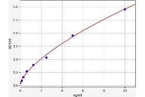 Paxillin ELISA Kit