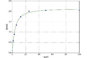 A typical standard curve (IFNalpha-Ab ELISA Kit)