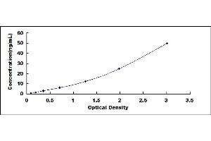 Typical standard curve (GRID2 ELISA Kit)