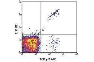 Flow Cytometry (FACS) image for anti-TCR V Gamma1.1/Cr4 antibody (PE) (ABIN2662881) (TCR V Gamma1.1/Cr4 Antikörper (PE))