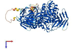GANC Protein (AA 1-914) (His tag)