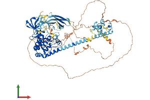 AlphaFold protein structure predicition of Mouse Recombinant Map3k20 Protein, UniprotID Q9ESL4