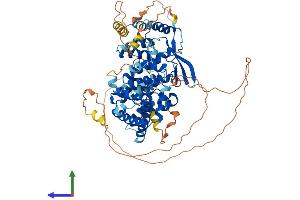 Protein Structure (PS) image for Transcription Factor 25 (Basic Helix-Loop-Helix) (TCF25) (AA 1-676) protein (His tag) (ABIN7559739)