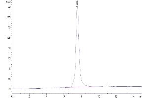 The purity of Human LRRC15 is greater than 95 % as determined by SEC-HPLC. (LRRC15 Protein (His-Avi Tag))