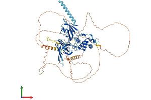Protein Structure (PS) image for Erythrocyte Membrane Protein Band 4.1 Like 5 (EPB41L5) (AA 1-731) protein (His tag) (ABIN7558579)