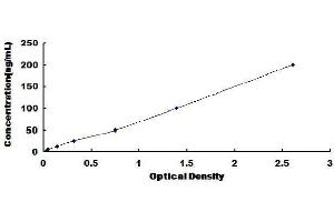 ELISA image for Ferritin, Heavy Polypeptide 1 (FTH1) ELISA Kit (ABIN1569912) (FTH1 ELISA Kit)