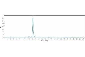 The purity of Anti-CXCL8 / IL-8 Reference Antibody (HuMax-IL8) is 91. (Rekombinanter IL-8 Antikörper)
