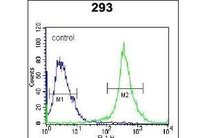 IL-27 Antibody (Center) (ABIN388443 and ABIN2848726) flow cytometric analysis of 293 cells (right histogram) compared to a negative control cell (left histogram).