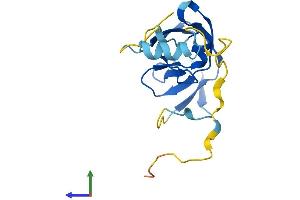 AlphaFold protein structure predicition of Human Recombinant ERVK-6 Protein, UniprotID Q9Y6I0