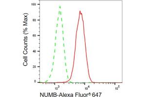 Flow cytometric analysis of NUMB expression in HepG2 cells using NUMB antibody (ABIN7799693), 1:2,000). (Rekombinanter NUMB Antikörper)