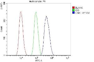 Flow Cytometry analysis of SiHa cells using anti-CHAT antibody (ABIN7600920).