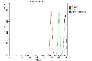 Flow Cytometry analysis of PC-3 cells using anti-Ataxin 1 antibody (ABIN7602773).