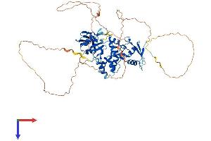 PIAS2 Protein (AA 1-621) (His tag)