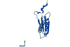 Protein Structure (PS) image for Polymerase (RNA) II (DNA Directed) Polypeptide J, 13.3kDa (POLR2J) (AA 1-117) protein (His tag) (ABIN7562197)