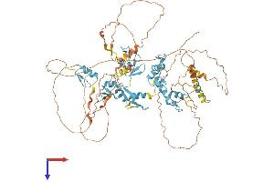 E4F1 Protein (AA 1-783) (His tag)
