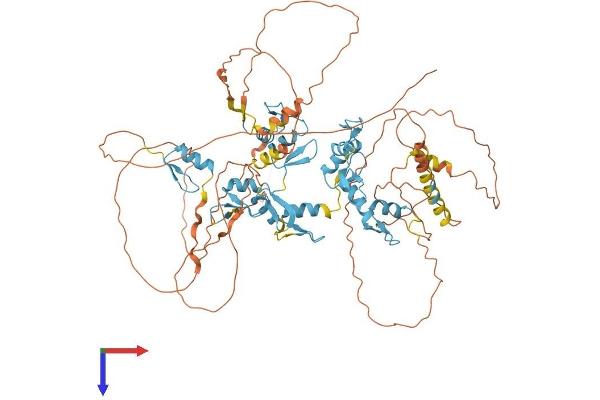 E4F1 Protein (AA 1-783) (His tag)