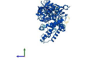 Protein Structure (PS) image for Cytochrome P450, Family 2, Subfamily D, Polypeptide 10 (CYP2D10) (AA 1-504) protein (His tag) (ABIN7562996)