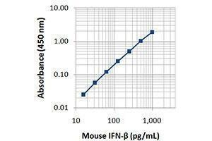 ELISA image for anti-Interferon, beta 1, Fibroblast (IFNB1) antibody (ABIN2665499) (IFNB1 Antikörper)