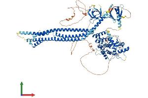 Protein Structure (PS) image for ArfGAP with SH3 Domain, Ankyrin Repeat and PH Domain 2 (ASAP2) (AA 1-958) protein (His tag) (ABIN7564186)