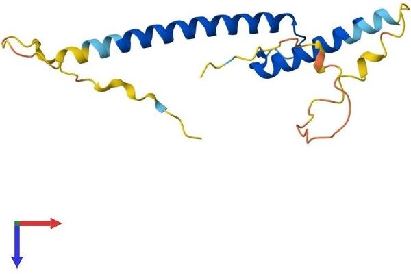 ATOH7 Protein (AA 1-152) (His tag)