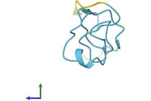 Protein Structure (PS) image for Metallothionein 1A (MT1A) (AA 1-61) protein (Fc Tag) (ABIN7549595)