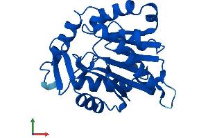AlphaFold protein structure predicition of Human Recombinant NTMT1 Protein, UniprotID Q9BV86