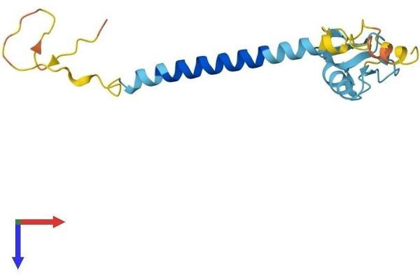 RNF122 Protein (AA 1-155) (His tag)