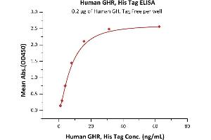Immobilized Human GH, Tag Free at 2 μg/mL (100 μL/well) can bind Human GHR, His Tag (ABIN2181159,ABIN2181158) with a linear range of 1-8 ng/mL (QC tested). (Growth Hormone Receptor Protein (GHR) (AA 27-264) (His tag))