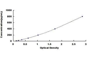 ELISA image for Chemokine (C-C Motif) Ligand 4 (CCL4) ELISA Kit (ABIN1571230)