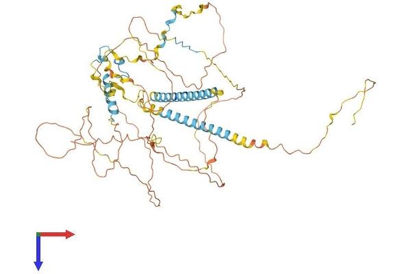 FIP1L1 Protein (AA 1-594) (His tag)