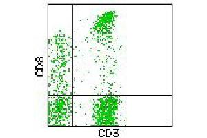 Flow Cytometry (FACS) image for anti-CD3/CD8 antibody (FITC,PE) (ABIN2144396) (CD3/CD8 Antikörper (FITC,PE))