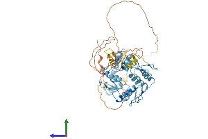 Protein Structure (PS) image for Zinc Finger Protein 461 (ZNF461) (AA 1-563) protein (His tag) (ABIN7545276)
