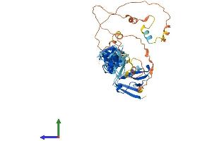 Protein Structure (PS) image for PDZ and LIM Domain 7 (Enigma) (PDLIM7) (AA 1-457) protein (His tag) (ABIN7557067)