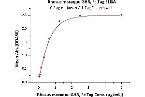 Immobilized Human GH, Tag Free at 2 μg/mL (100 μL/well) can bind Rhesus macaque GHR, Fc Tag (ABIN6731254,ABIN6809923) with a linear range of 0. (Growth Hormone Receptor Protein (GHR) (AA 19-264) (Fc Tag))