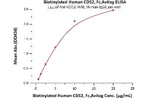 ELISA image for CD52 (CD52) (AA 25-36) (Active) protein (Fc Tag,AVI tag,Biotin) (ABIN5526651)
