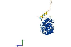 Protein Structure (PS) image for F-Box and Leucine-Rich Repeat Protein 15 (FBXL15) (AA 1-300) protein (His tag) (ABIN7547789)