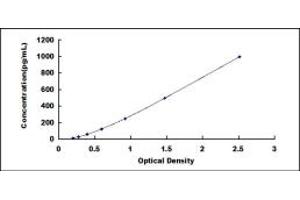 Typical standard curve (CCL19 ELISA Kit)