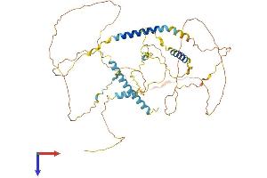 Ladinin 1 Protein (LAD1) (AA 1-517) (His tag)