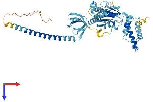 PSMC4 Protein (AA 1-418) (His tag)