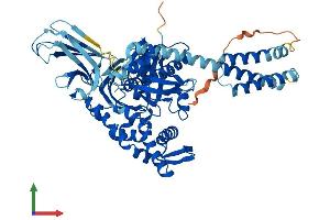Protein Structure (PS) image for Heat Shock 70kDa Protein 1-Like (HSPA1L) (AA 1-641) protein (His tag) (ABIN7554133)