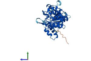 Protein Structure (PS) image for Phosphoglycolate Phosphatase (PGP) (AA 1-321) protein (His tag) (ABIN7550695)