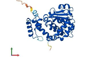 Protein Structure (PS) image for Tocopherol (Alpha) Transfer Protein (TTPA) (AA 1-278) protein (His tag) (ABIN7544836)