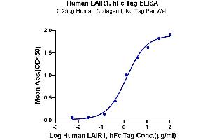 ELISA image for Leukocyte-Associated Immunoglobulin-Like Receptor 1 (LAIR1) (AA 22-163) protein (Fc Tag) (ABIN7275117)