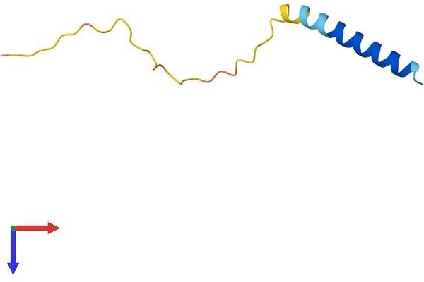 Lens Epithelial Protein (LENEP) (AA 1-61) protein (Fc Tag)