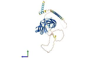 AlphaFold protein structure predicition of Human Recombinant SYT9 Protein, UniprotID Q86SS6