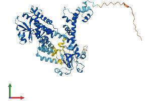 Protein Structure (PS) image for F-Box Protein 21 (FBXO21) (AA 1-628) protein (His tag) (ABIN7547560)