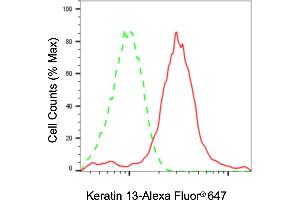 Flow cytometric analysis of Keratin 13 expression in HaCaT cells using Keratin 13 antibody (ABIN7799166), 1:2,000).